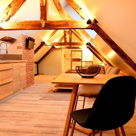 Loft Sous Les Combles - Loft Under The Rafter Lägenhet Rodez Exteriör bild
